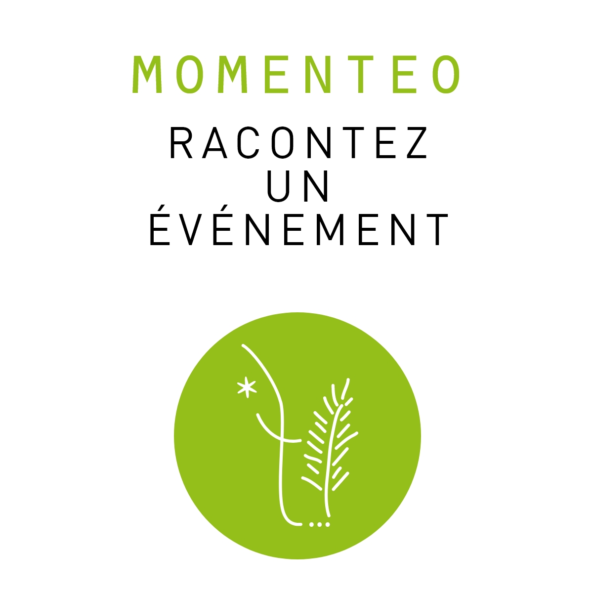 Momenteo – Image 1