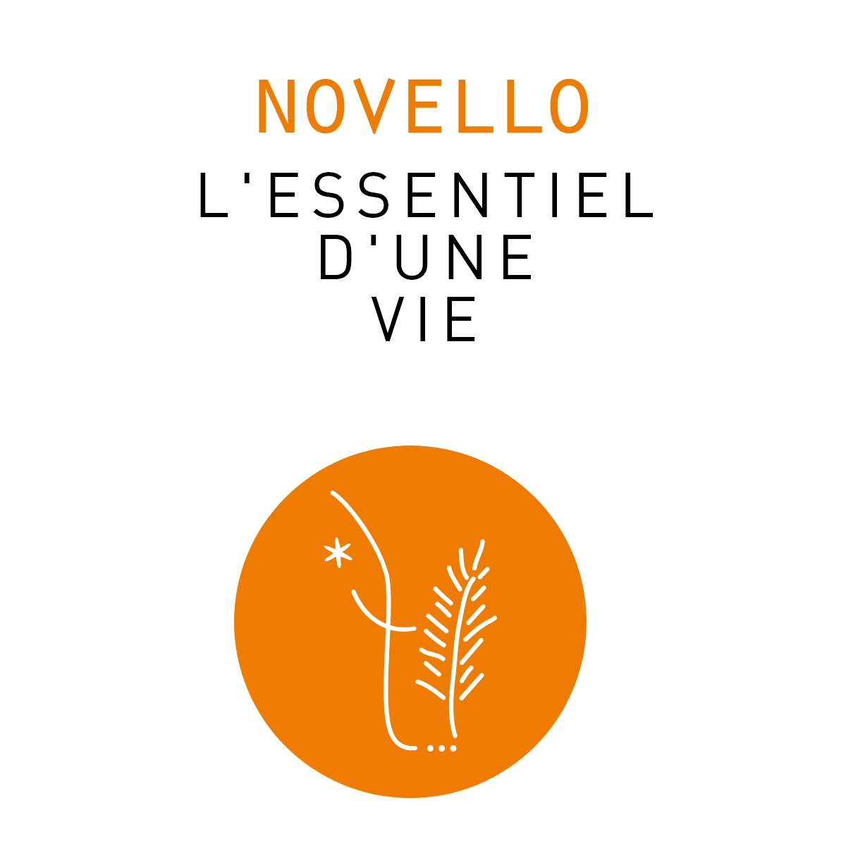 Novello – Image 1